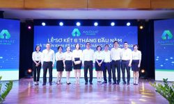 An Phat Holdings preliminarily reviewed the first 6 months and adjusted the revenue plan to 12,000 billion Vietnam dong